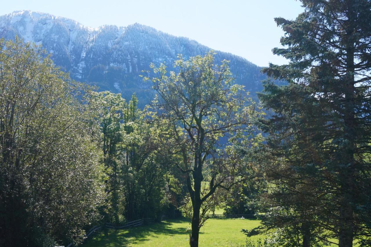 Apartment Alpenpanorama Goldegg Εξωτερικό φωτογραφία